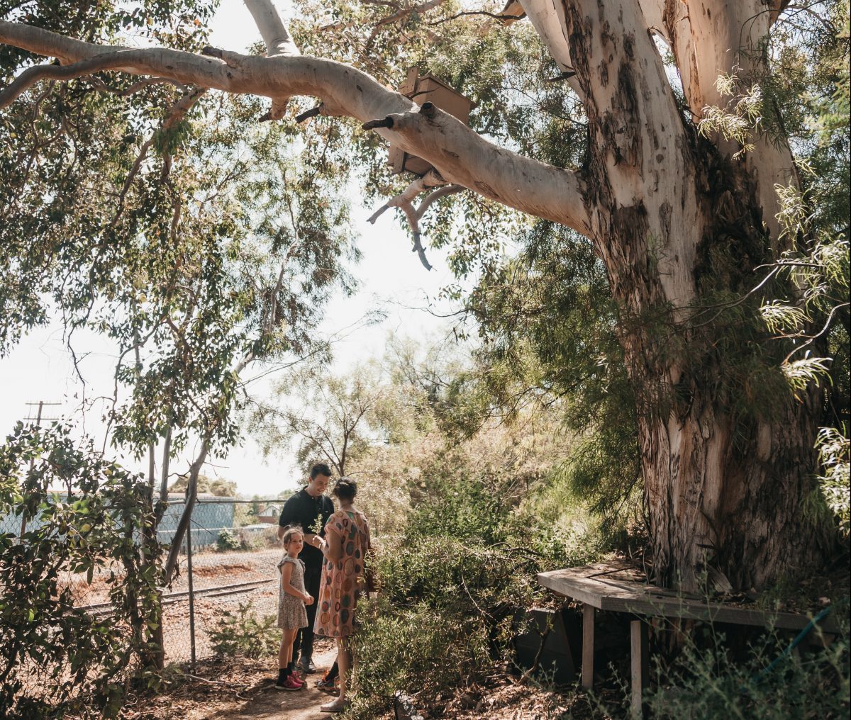 A family of three standing under a eucalyptus tree at ErinEarth