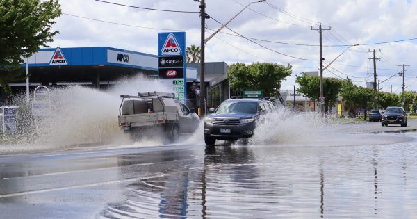 UPDATE: SES assessing parts of East Wagga with the river to reach 9.80 by Friday night