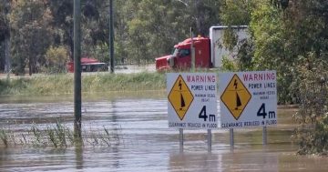 UPDATE: North Wagga and Gumly Gumly residents to evacuate by 8 am Friday