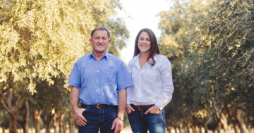 Riverina Made: When Frank Dal Bon found olive trees, he started making olive oil