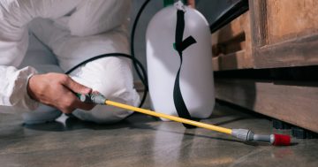 The best pest control services in Wagga