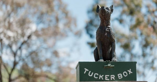 Australia's most famous dog celebrates 90 years