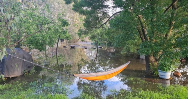 Life's a tinny out in the land where flooding is a way of life