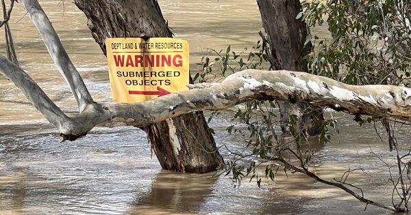 UPDATE: Wagga now on track for a major flood peak of 9.80 metres with North Wagga residents urged to leave early