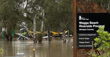 Better by design: Council's Wagga Beach playground restoration recognised for flood resilience