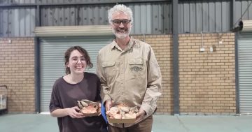 Riverina Made: James McDonald produces pristine, exotic and boutique mushrooms for discerning buyers
