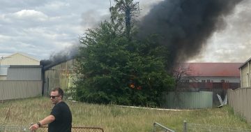 Police call for information on shed fire