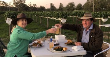 Five minutes with Kylie and Michael Cashen, Bidgee Strawberries and Cream