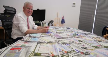 Three little Riverina artists to feature on the federal member's Christmas card