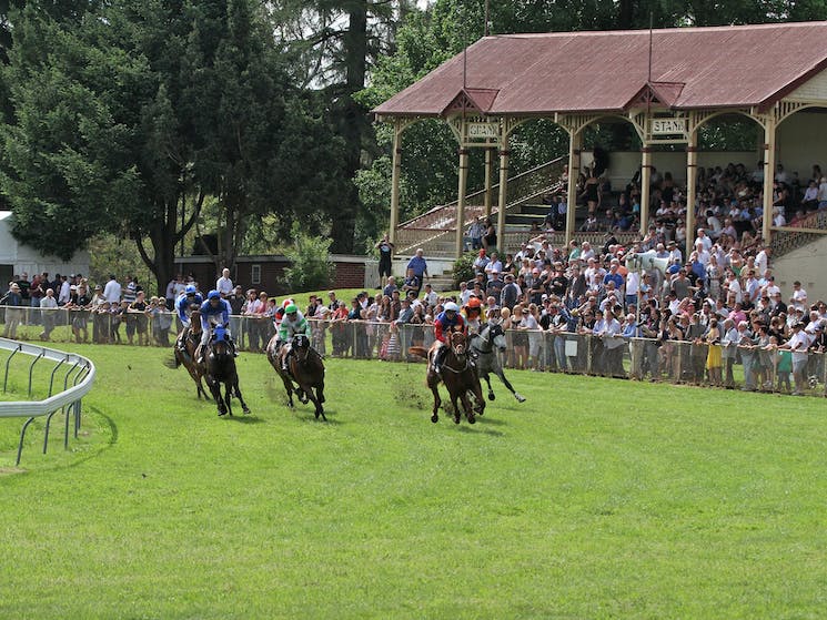 Horse race at Tumut