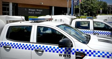 Man charged over the alleged theft of guns, jewellery and a car in the Riverina