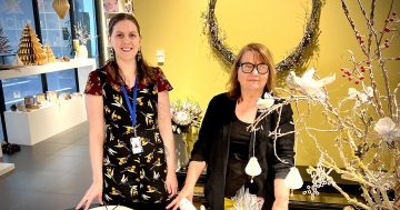 Riverina Made: Wagga's Art Gallery Shop is sharing beauty this Christmas