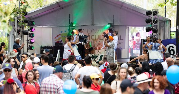 Things to do in Canberra in February