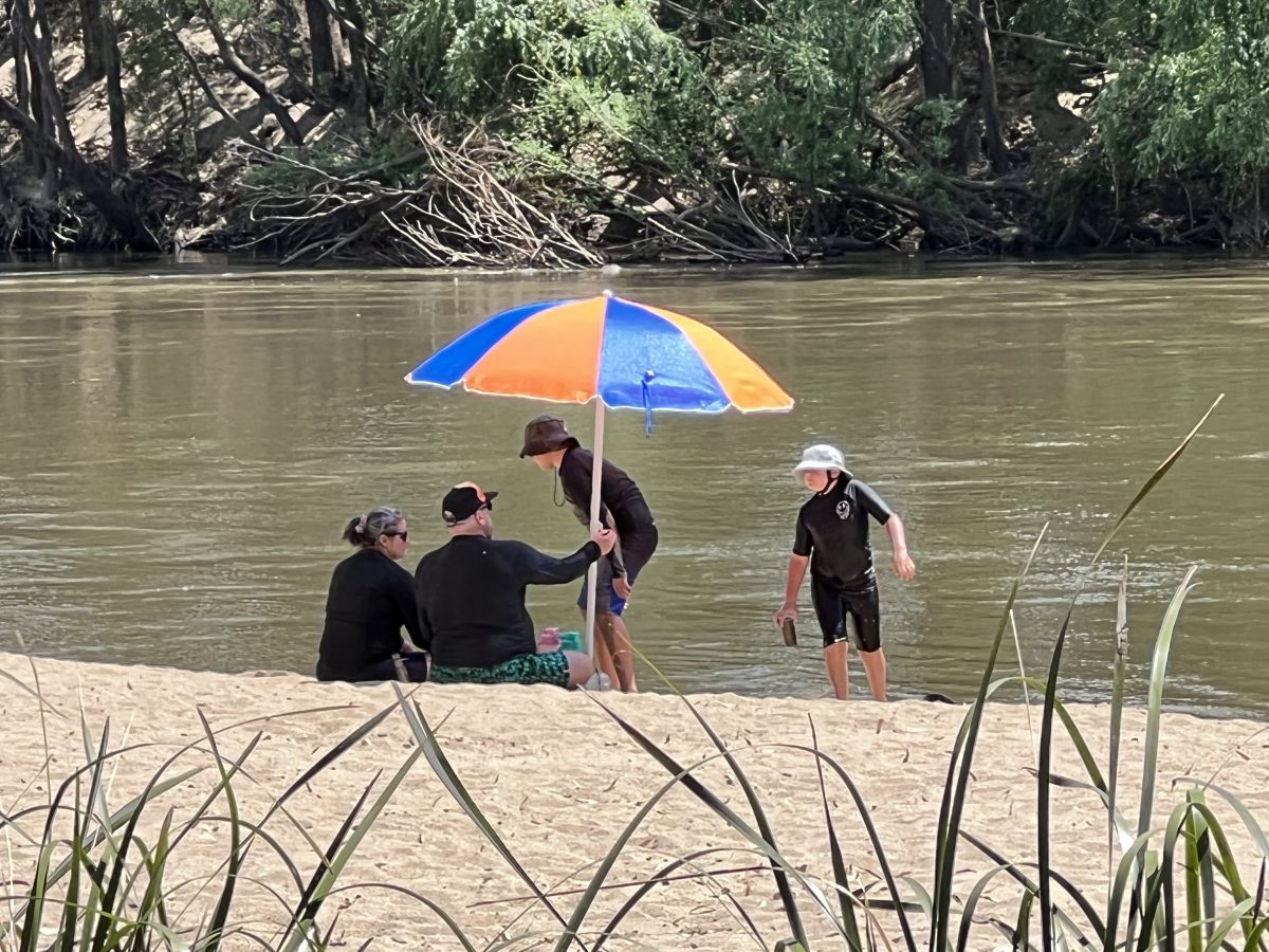 A family out at Wagga Wagga Beach on a sunny day