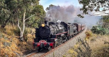 The Picnic Train is steaming back to the Riverina