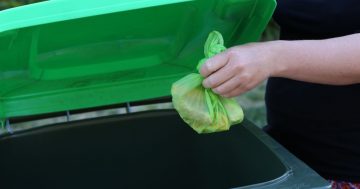 From FOMO to FOGO: More Riverina councils go green with their bins