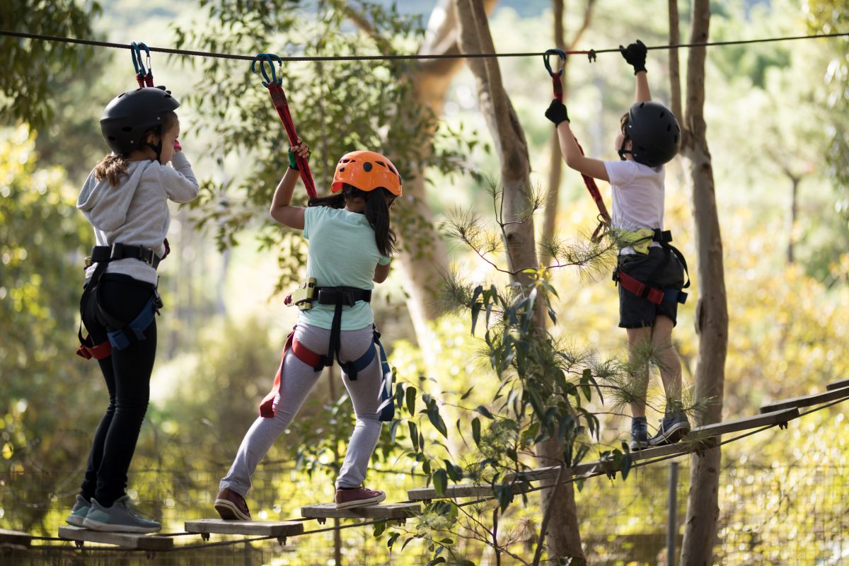 Children wearing harnesses on a high ropes course