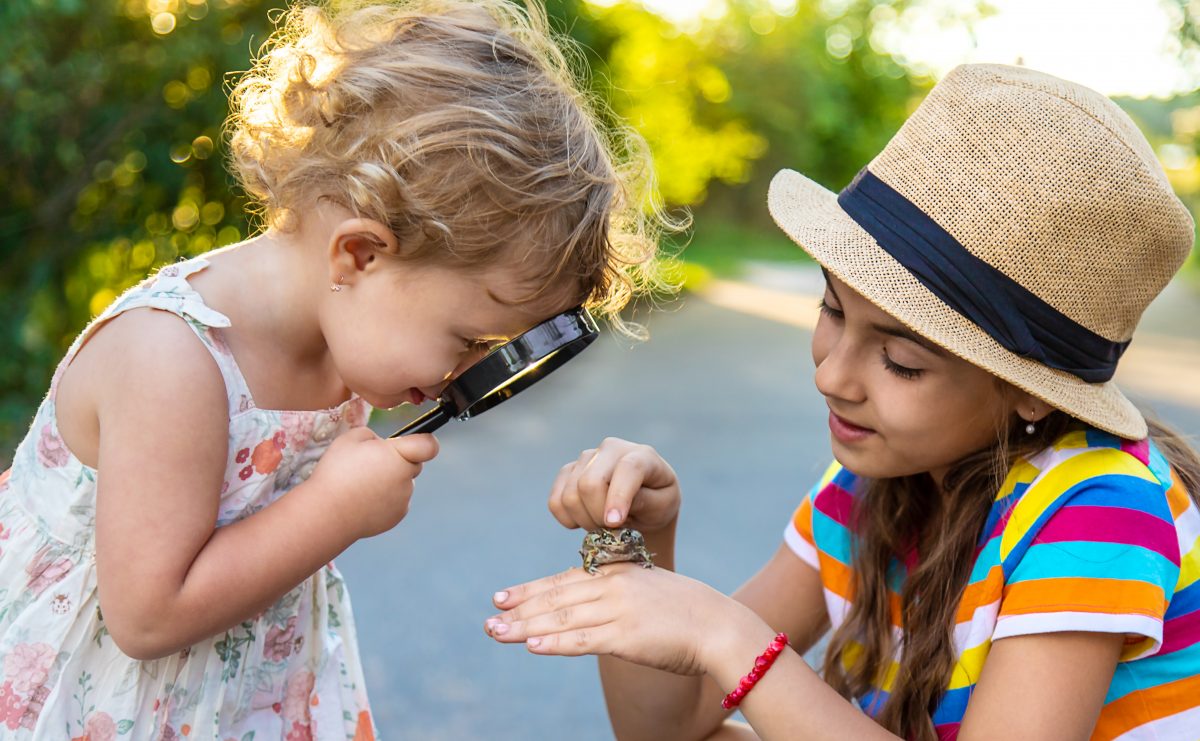 Little girl looks through a magnifying glass as an amphibian on the hand of another girl