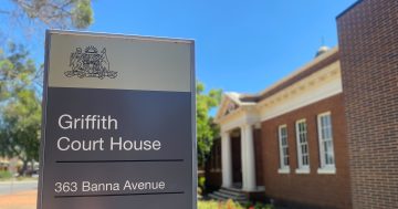Riverina man pleads guilty to firearm offences