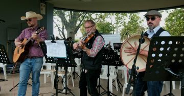 Danny Walsh Banned, Ironbark String Band to ignite free concert in Leeton