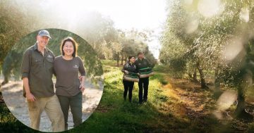 Riverina Made: Meet the makers of Wollundry Grove Olives