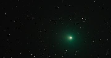 ‘I doubt we’ll see it again’: a bright green comet is passing by Australia