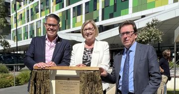 Wagga health hub open but regional ministry's future unclear