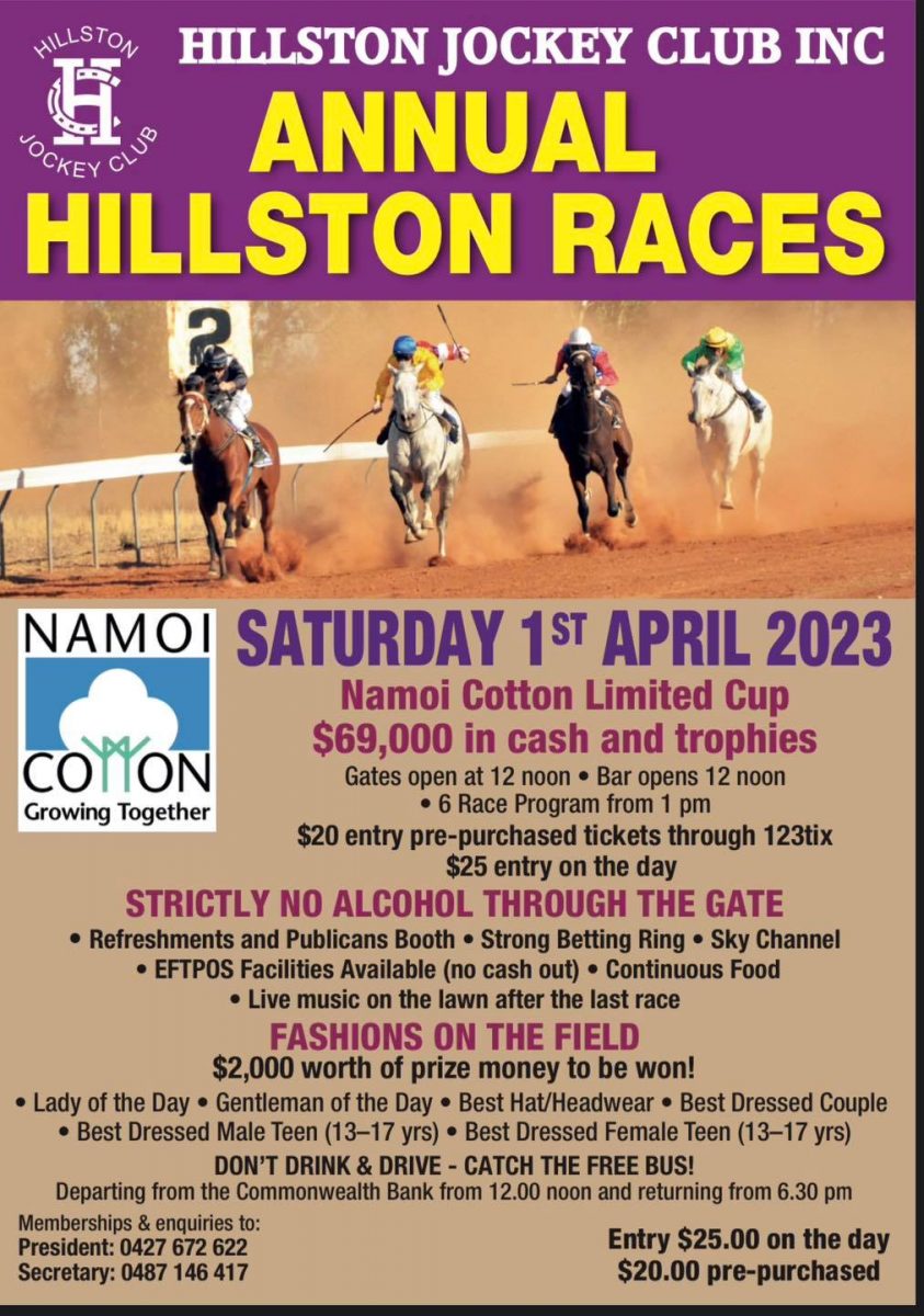 Hillston Races poster