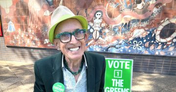 Greens claim top ballot spot as a mystery candidate enters the race for Wagga