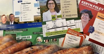 How to vote and who to choose for the seat of Wagga Wagga in 2023