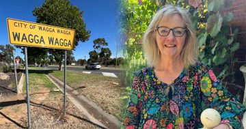 'An unattractive approach': Deputy Mayor wants a better welcome to Wagga Wagga