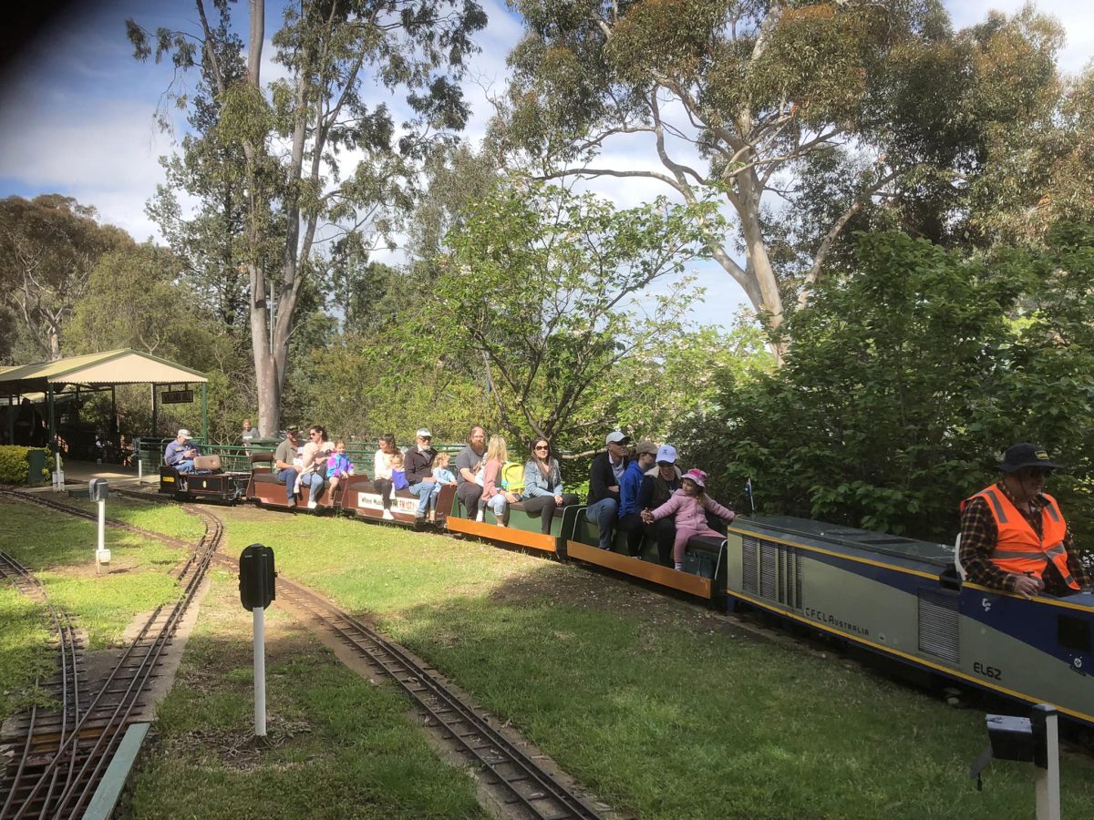 People riding the Willans Hill miniature trains. 