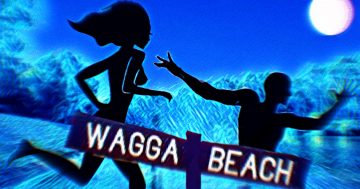 Riverina Rewind: Council calls for a whipping with nude bathers busted on Wagga Beach