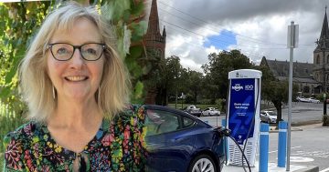 Wagga's Deputy Mayor joins a national call from councils to drive down the cost of electric vehicles