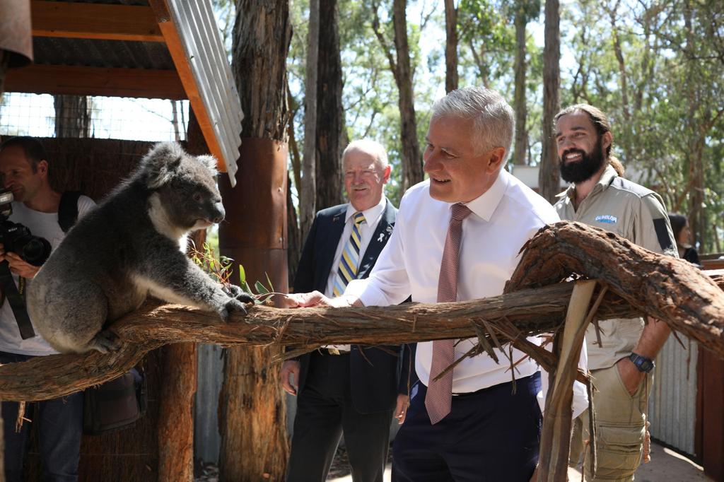 Michael McCormack with a koala