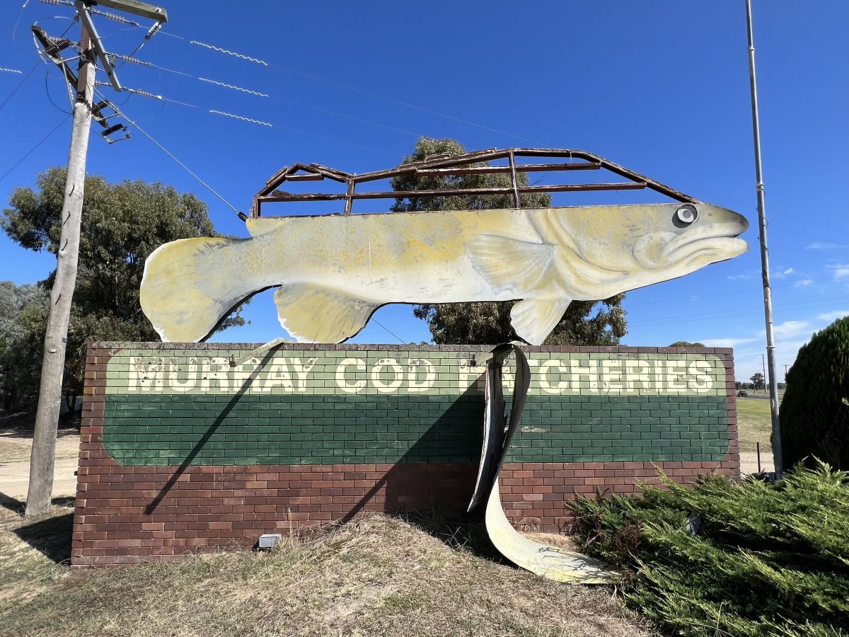 Murray Cod business sign