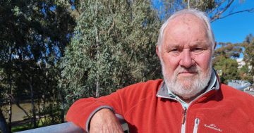 'I did it. I wear it': Wagga city councillor cops a one-month suspension for code of conduct breach
