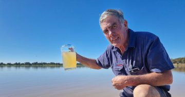 New method floated in Wagga Council battle against Lake Albert algae