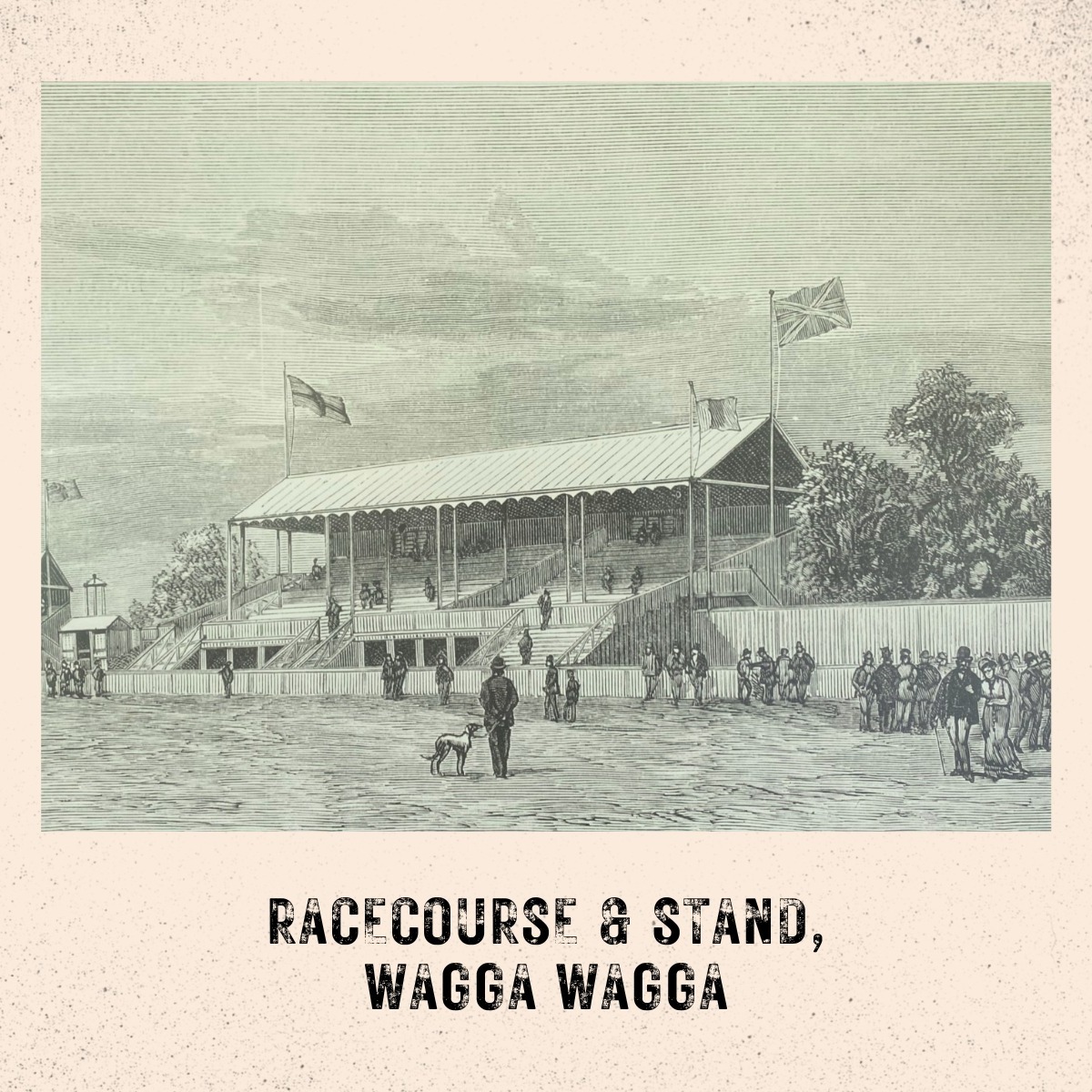 old line drawing of the racecourse and stand at Wagga