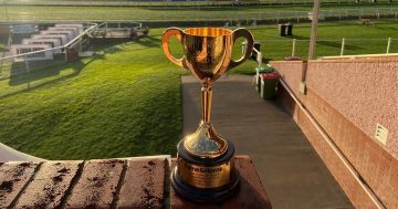 Wagga Wagga Gold Cup: the race that stops the region