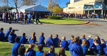 Healing history's scars: Wagga community unites to say sorry to Stolen Generations