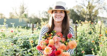 Flowers, floods and triffids: How Sophie became an accidental florist