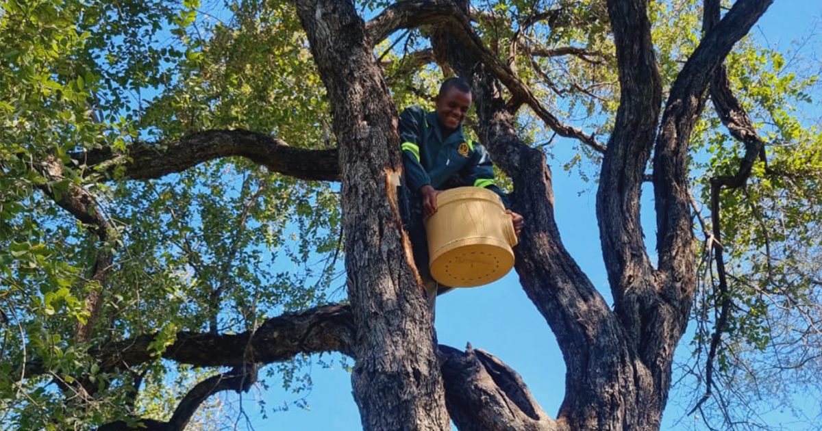 Habitech goes global – Aussie-made nest boxes the bee’s knees in Africa