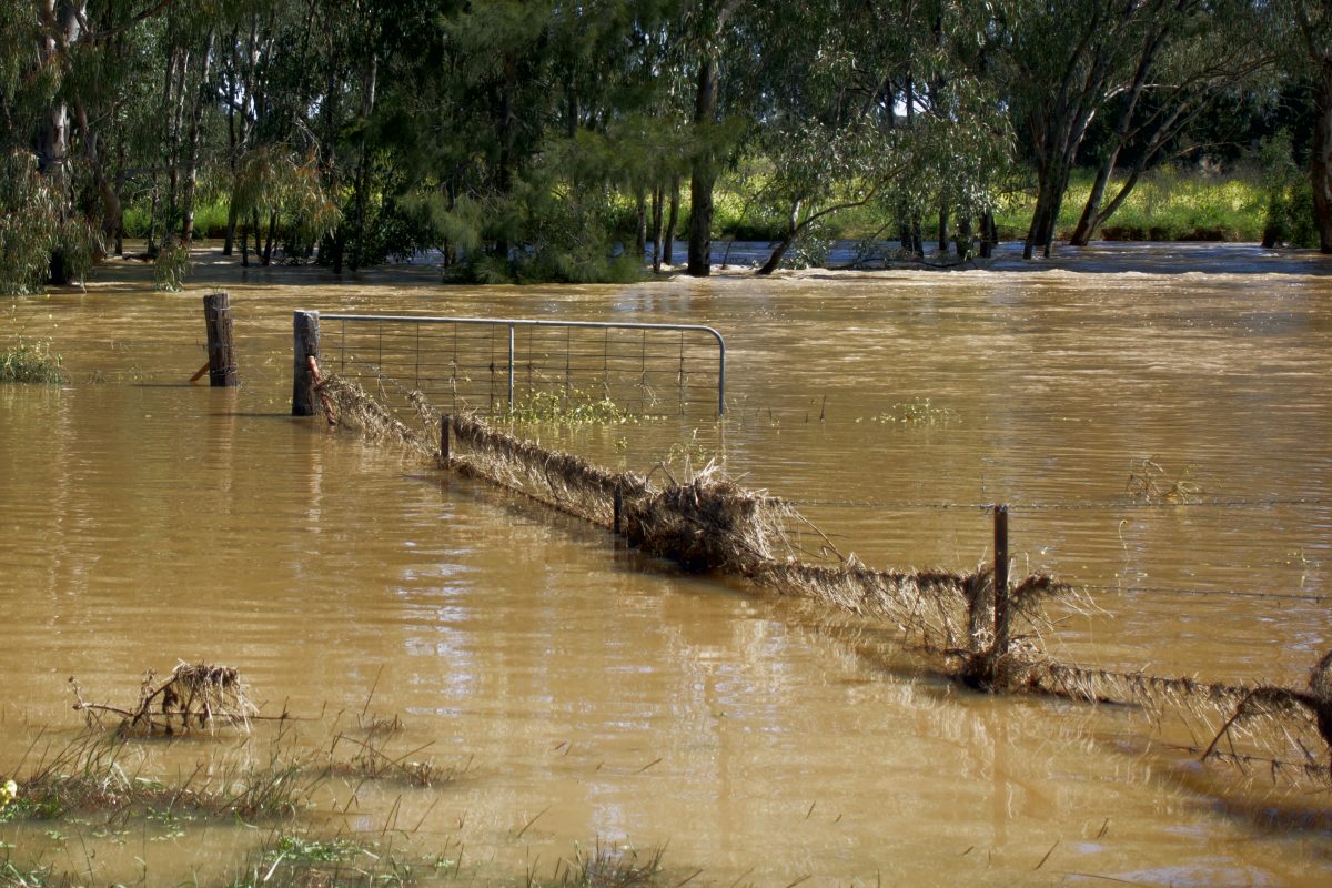 Flood-covered fence