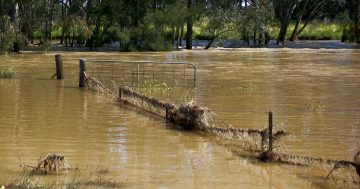 Riverina farmers urged to 'invest' in risk management