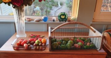 Notes from the Kitchen Garden: keep the veggies coming during winter