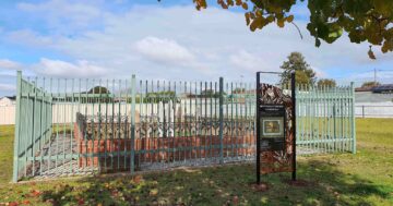 Best Family Cemetery marks the beginning of European settlement in 'Wogga Wogga'
