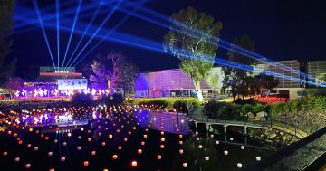 Welcome to the light show: Festival of W is ready to brighten up Wagga