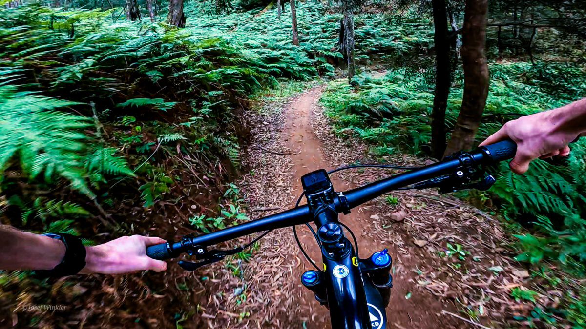 Rider's view on mountain bike on a trail