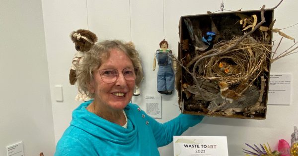 Trash to treasure: Murrumbidgee Council wins statewide award for rubbish-to-art exhibitions